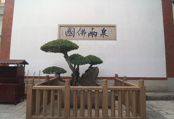承天禅寺第 29 张图片