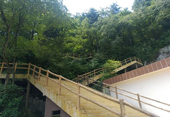 秦岭天竺山生态文化旅游景区第 65 张图片