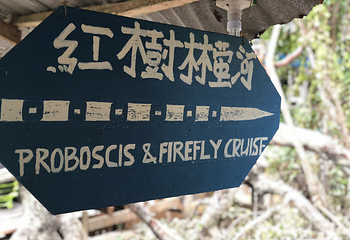 沙巴莹河红树林第 8 张图片