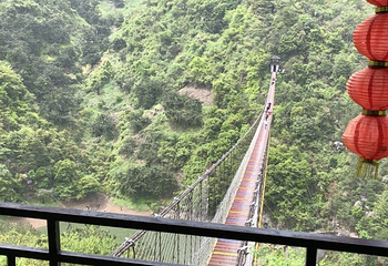 香榧森林公园第 43 张图片