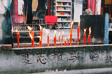 真君殿第 11 张图片