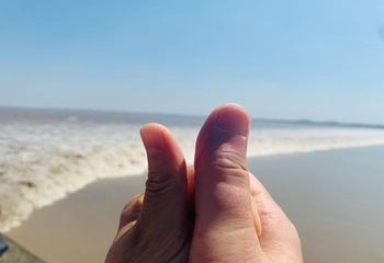 海宁潮第 20 张图片