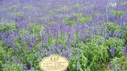 筋竹涧农业观光园第 28 张图片
