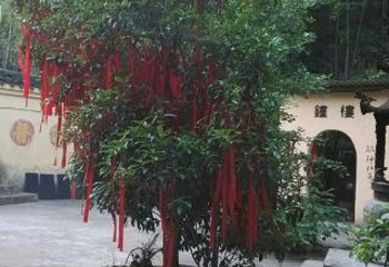 乌霞寺第 8 张图片