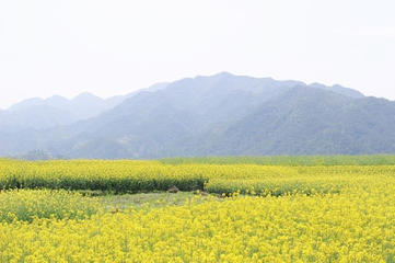 沃洲湖风景区第 26 张图片