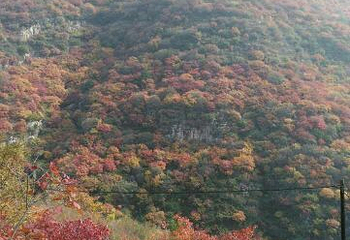 红岩岭自然风景区第 12 张图片