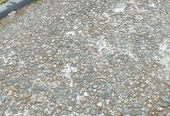 鸡公山景区第 70 张图片