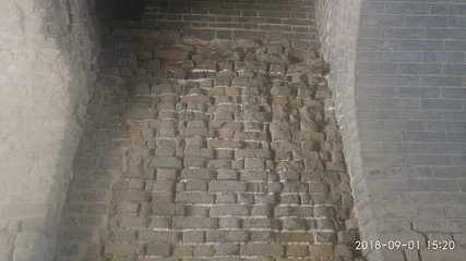 东京陵第 13 张图片