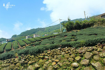 阿里山国家森林游乐区第 18 张图片