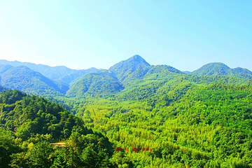 麦积山植物园第 8 张图片