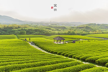 龙池山自行车公园第 21 张图片