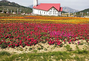 青岛西海岸生态观光园第 28 张图片