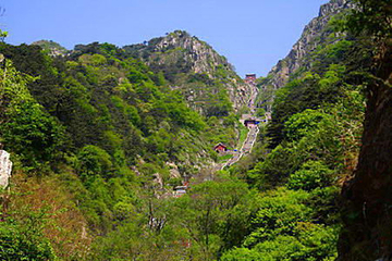 黄石悬崖风景区第 9 张图片