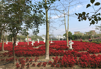 花都香草世界第 129 张图片