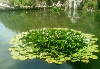 双龙湾景区第 26 张图片