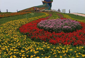 花花世界第 33 张图片