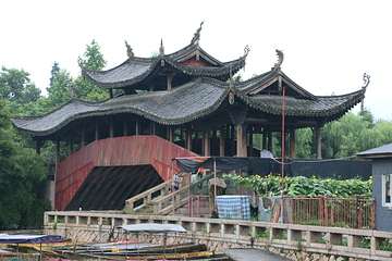 三垟湿地第 25 张图片