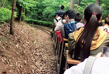 松鼠的森林第 44 张图片