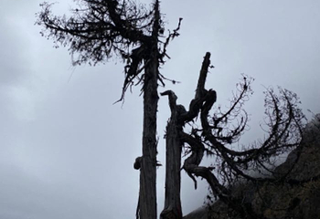 毕棚沟世纪温泉第 34 张图片