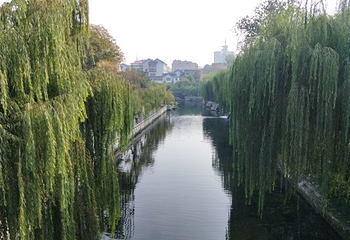 济南市环城公园第 14 张图片