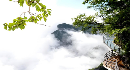 汉中龙头山国际旅游度假区第 58 张图片