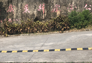 前垵湾休闲农庄第 1 张图片