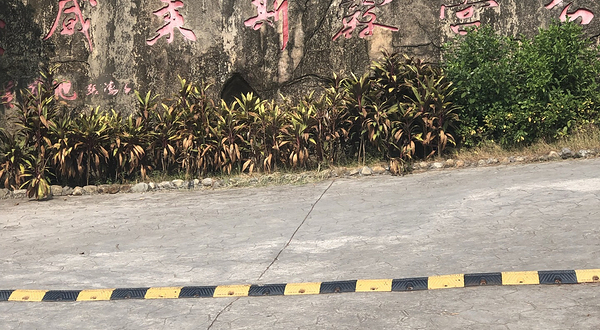 前垵湾休闲农庄