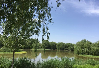 西安浐灞国家湿地公园第 97 张图片