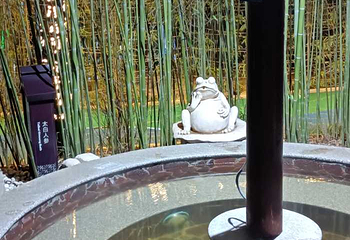 太白山尚境温泉第 15 张图片