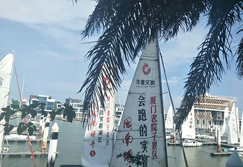 香山帆船出海体验第 31 张图片