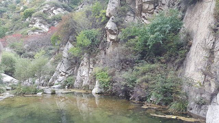 十瀑峡第 37 张图片
