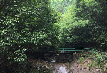 野鹤湫风景区第 13 张图片