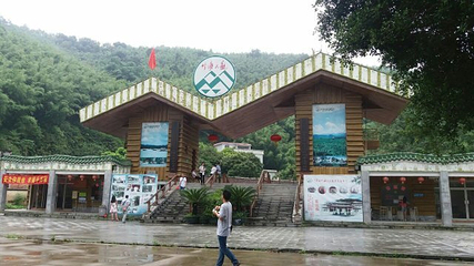 绥江竹海生态旅游景区第 30 张图片