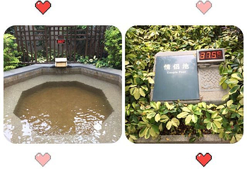 卓思道温泉第 39 张图片