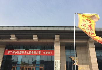 陈家沟第 35 张图片