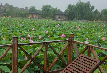 灵山莲花温泉度假区第 43 张图片