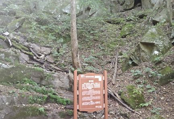内乡宝天曼生态文化旅游区第 31 张图片