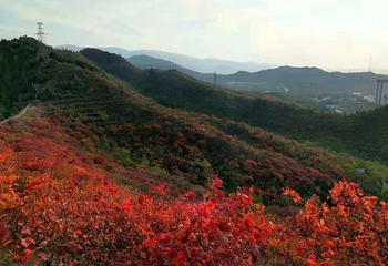 铜川香山第 14 张图片