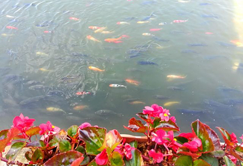 水云涧温泉旅游度假区第 14 张图片