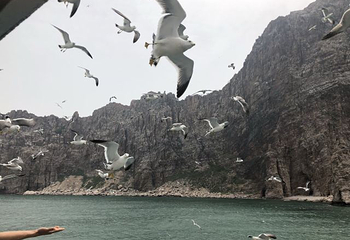 长岛海上游第 57 张图片