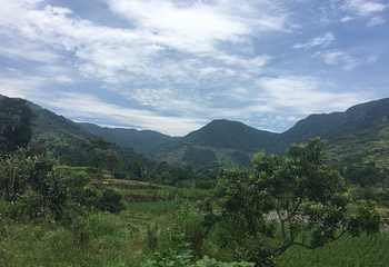 覆卮山必胜野外烧烤基地第 6 张图片