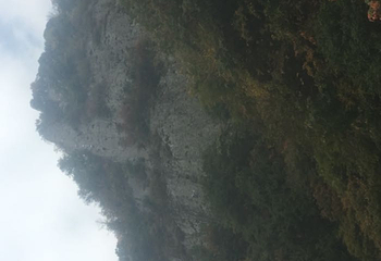南宫山国家森林公园第 29 张图片