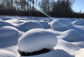 红星火山地质公园第 20 张图片