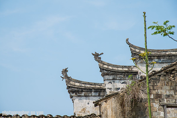 前童古镇第 47 张图片