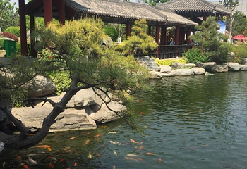 中国唐苑第 40 张图片