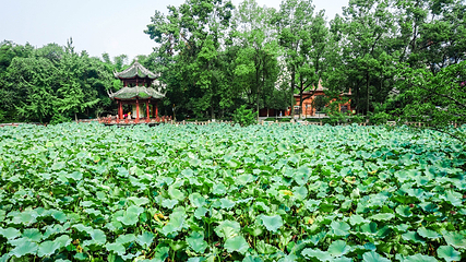 房湖公园第 32 张图片