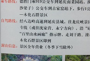 百里山水画廊—硅化木第 12 张图片