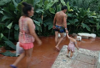 香洲旅游度假区第 60 张图片