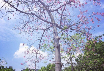 阳江温泉第 35 张图片