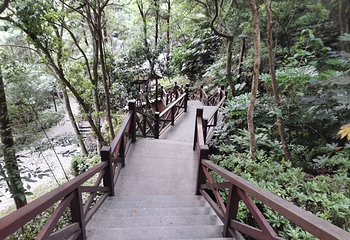 宁海森林温泉第 45 张图片